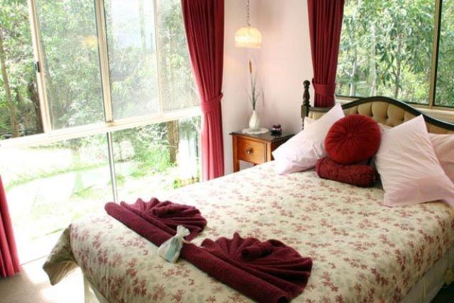 Bed and Breakfast Hillside Country Retreat Gold Coast Zimmer foto