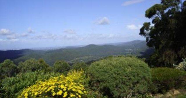 Bed and Breakfast Hillside Country Retreat Gold Coast Exterior foto